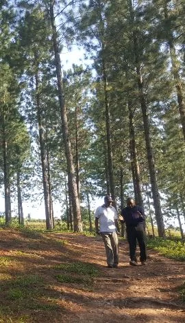 Building Safer Forestry Operations