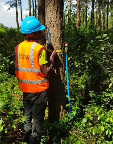 Plantation Valuation